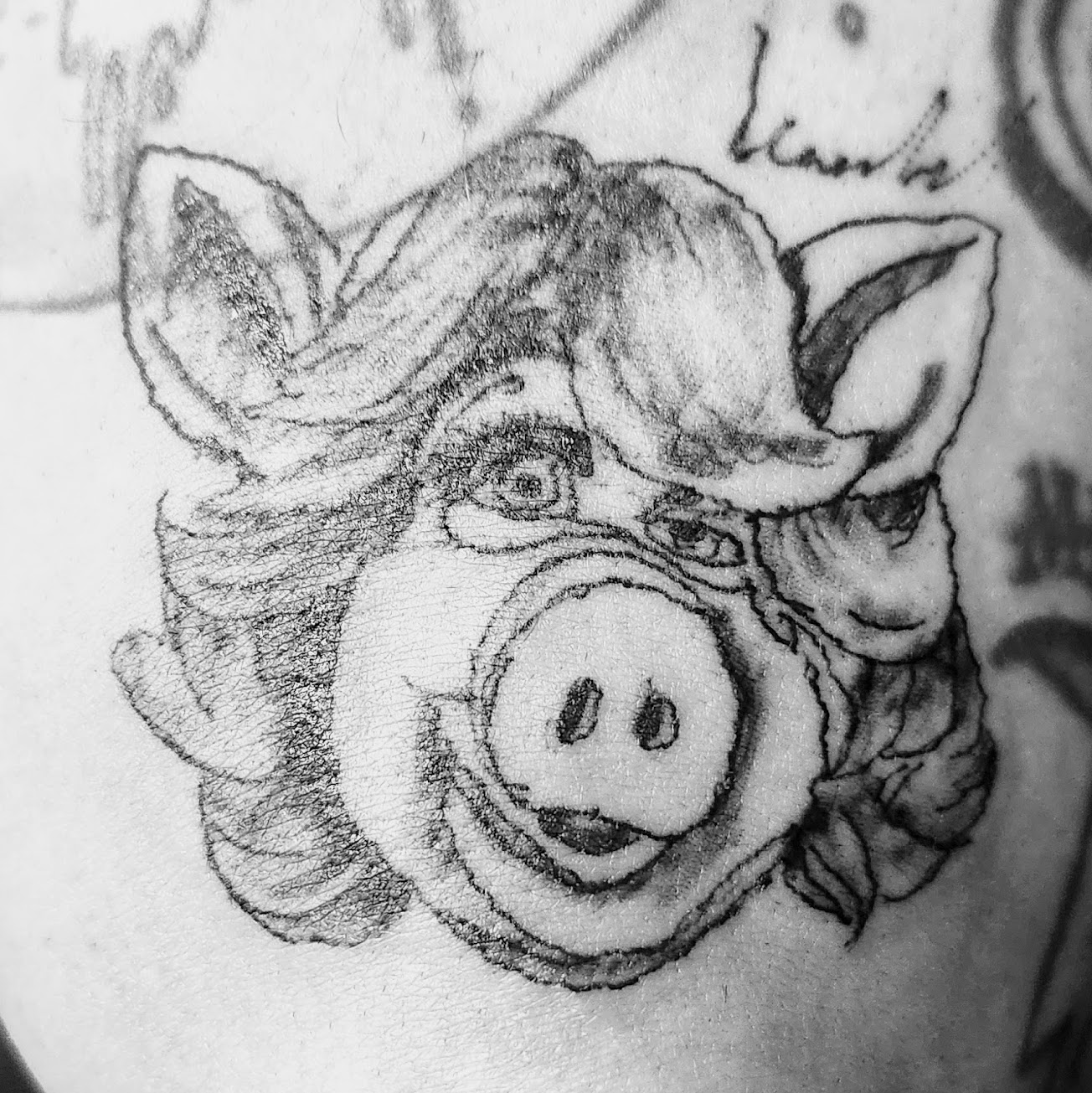 Татуировка Мисс Пигги